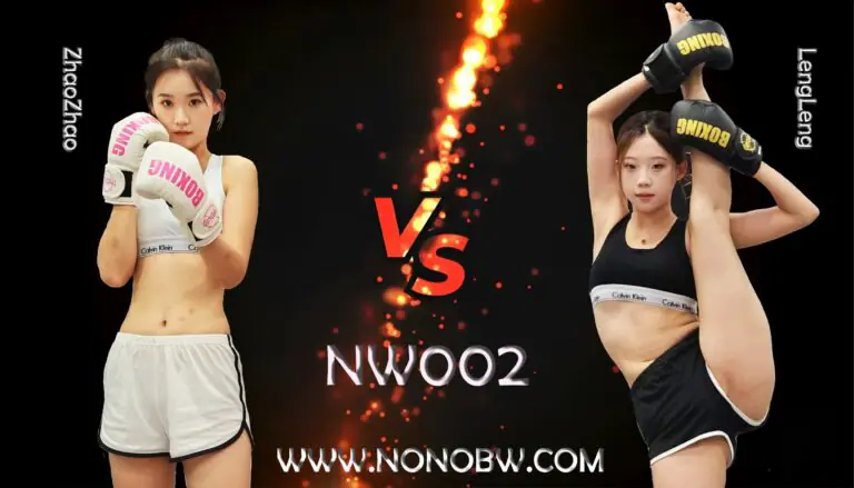NW002-格斗艺术