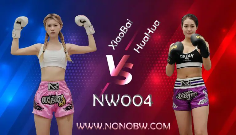 NW004-格斗艺术
