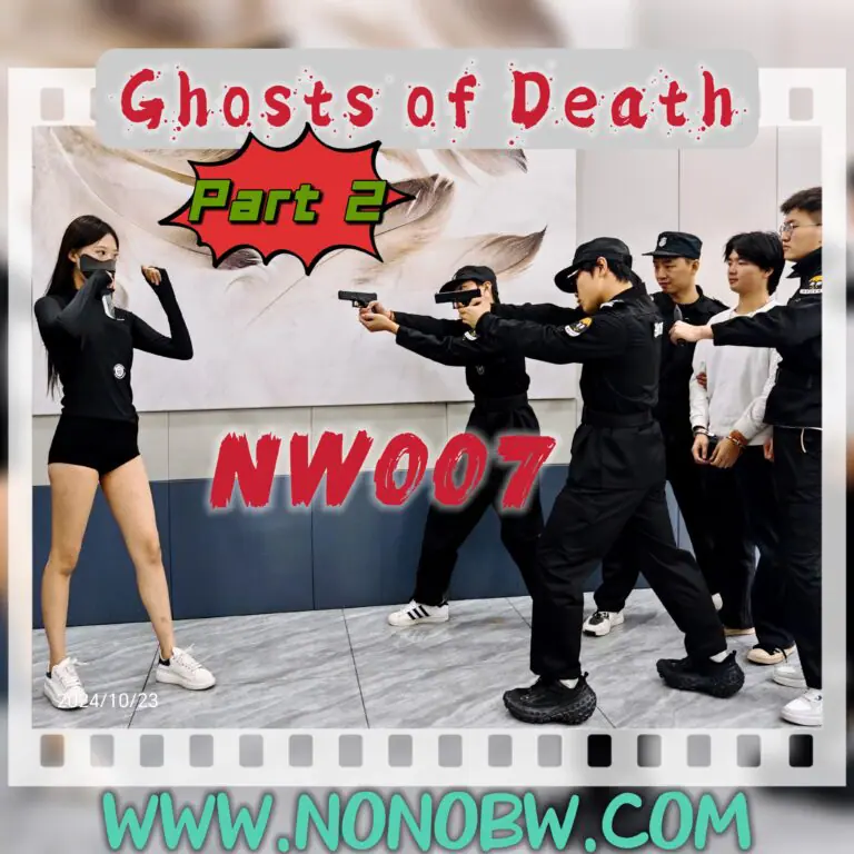 NW007-格斗艺术