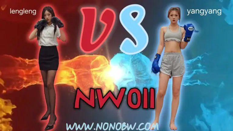NW011-格斗艺术