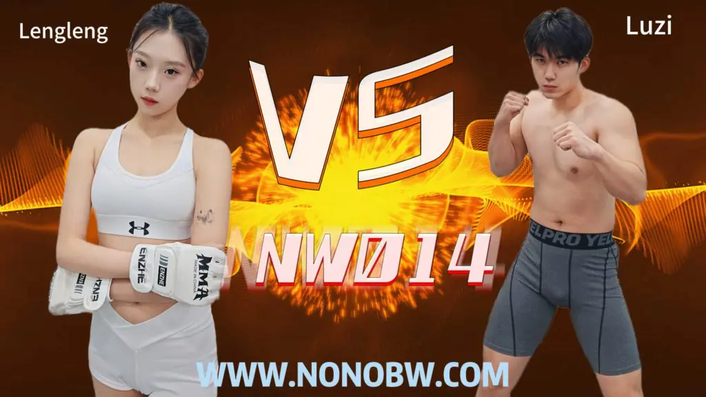 NW014-格斗艺术