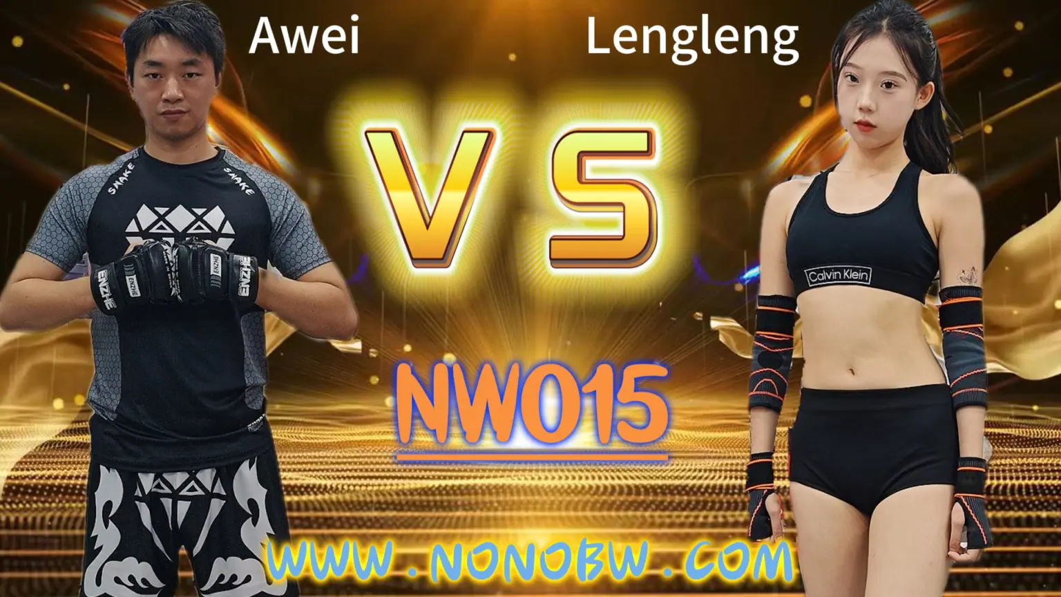NW015-格斗艺术