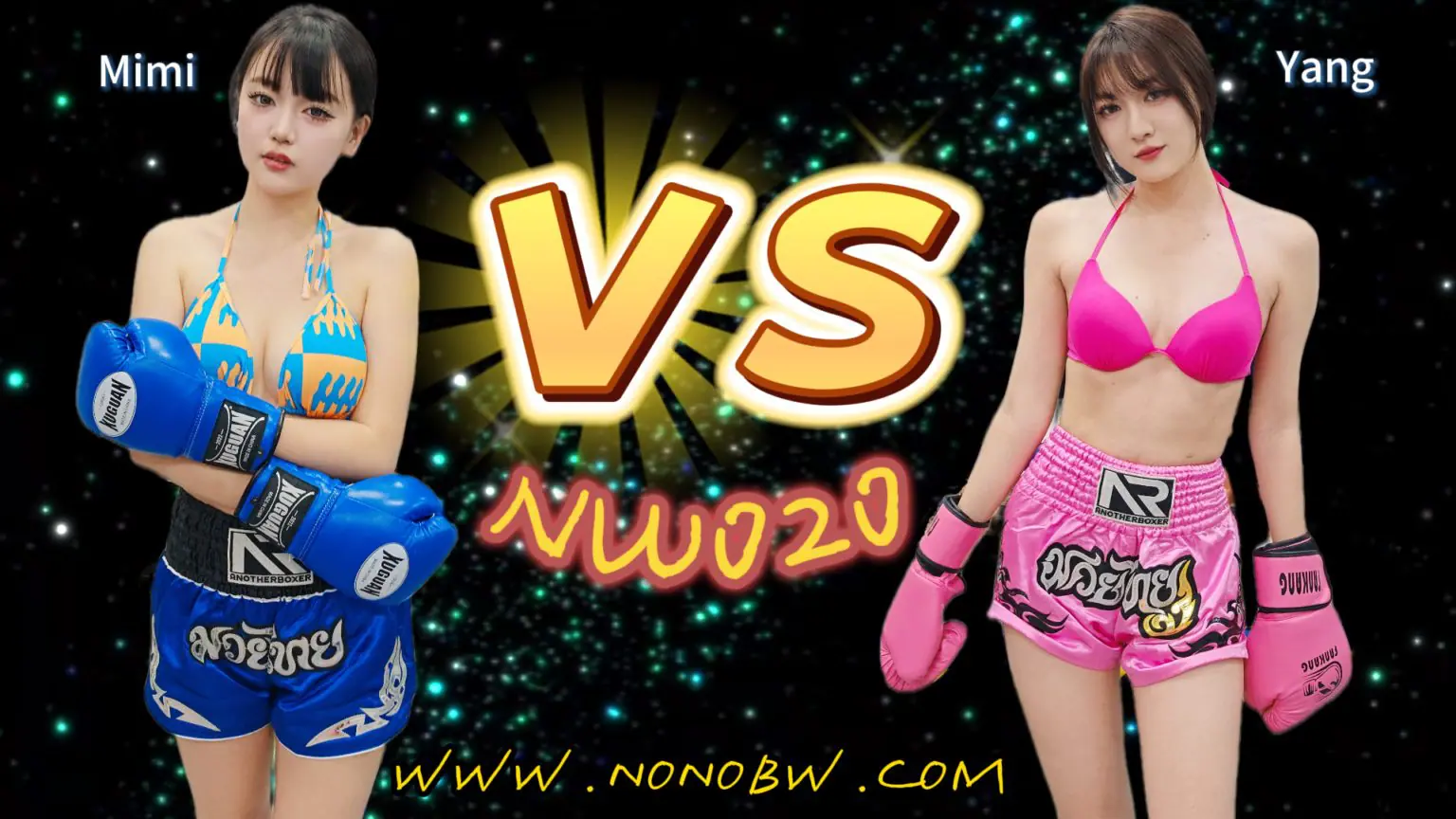 NW020-格斗艺术