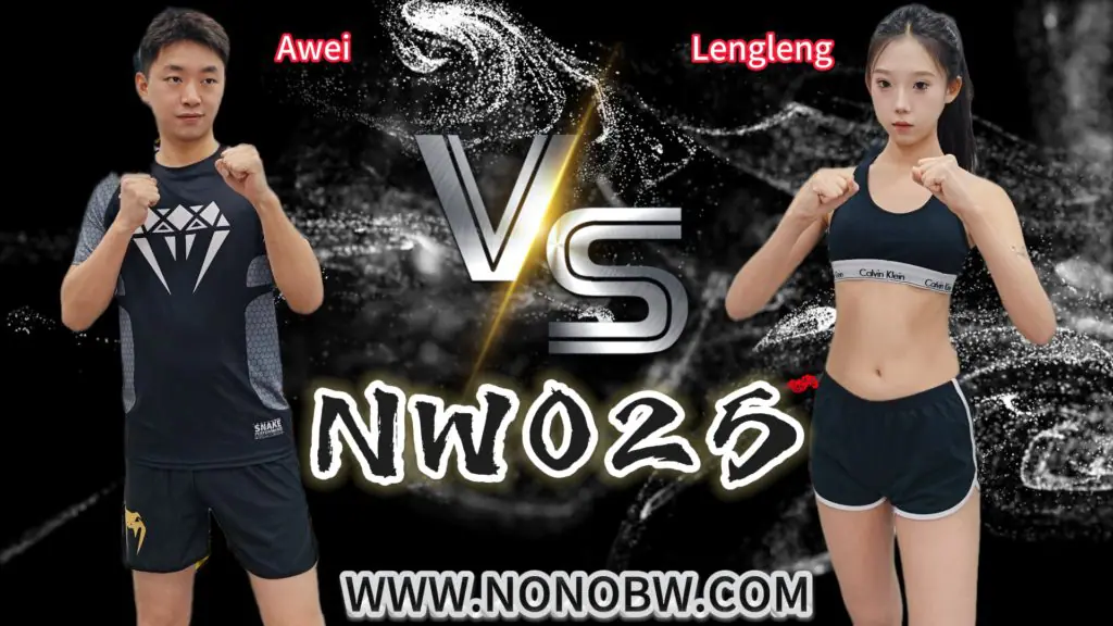 NW025-格斗艺术