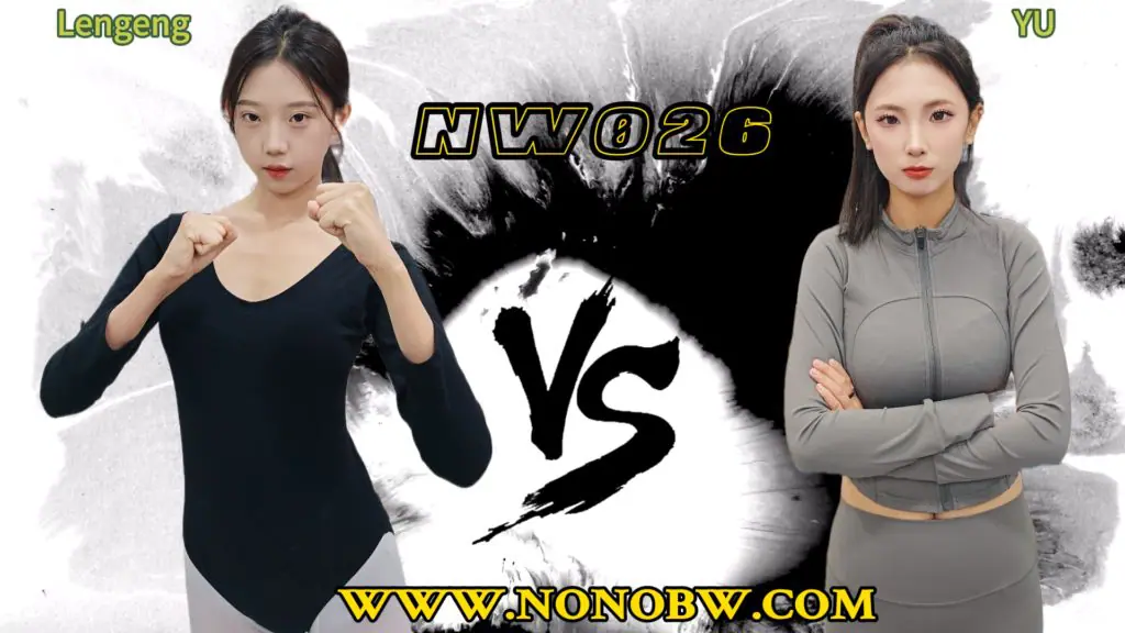 NW026-格斗艺术