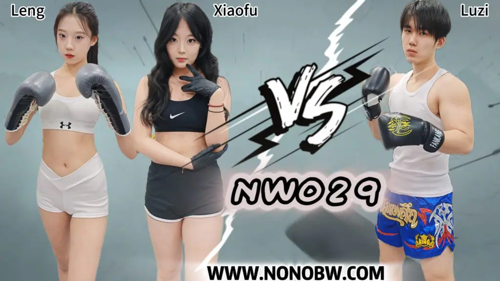 NW029-格斗艺术