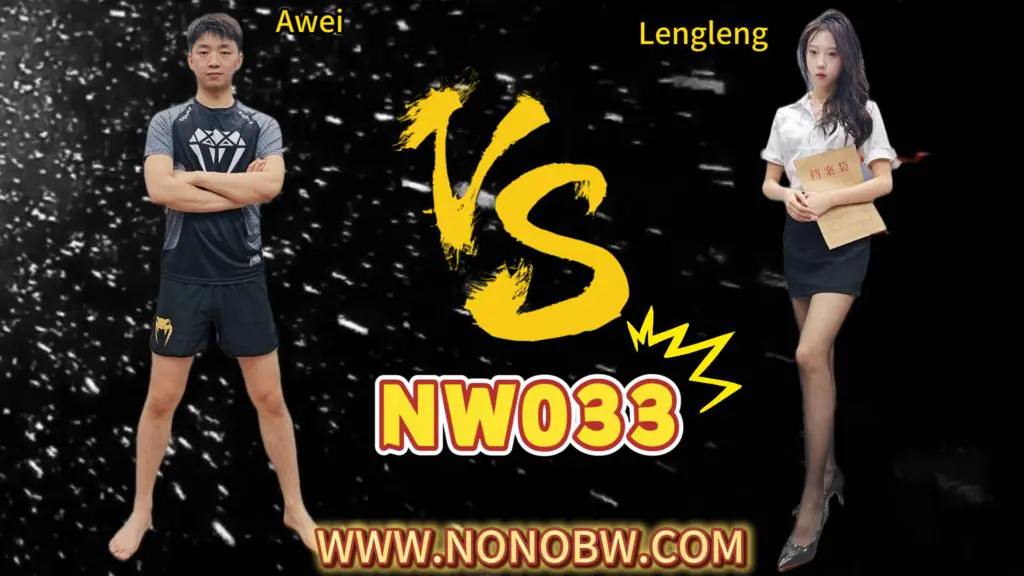 NW033-格斗艺术