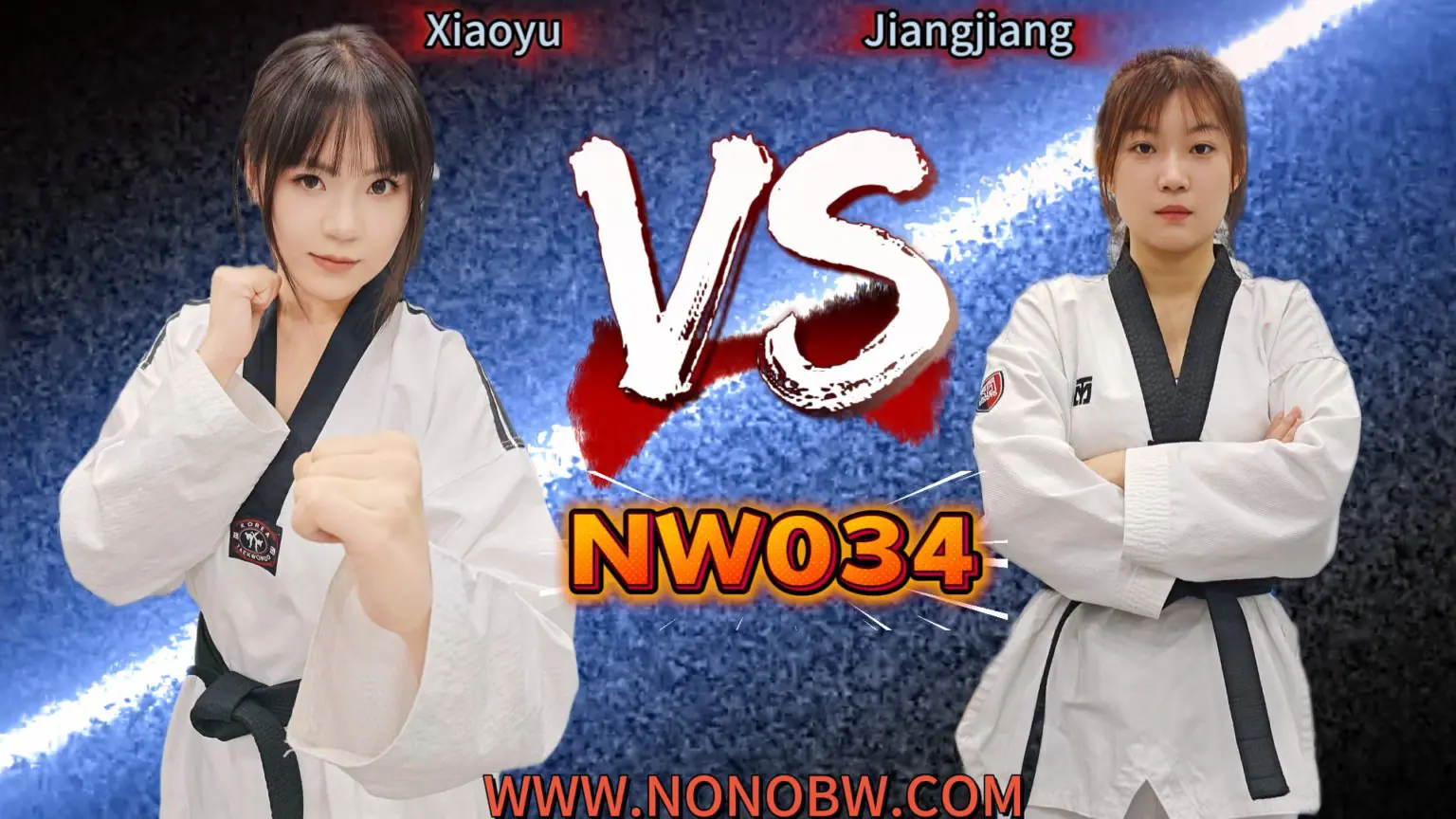 NW034-格斗艺术