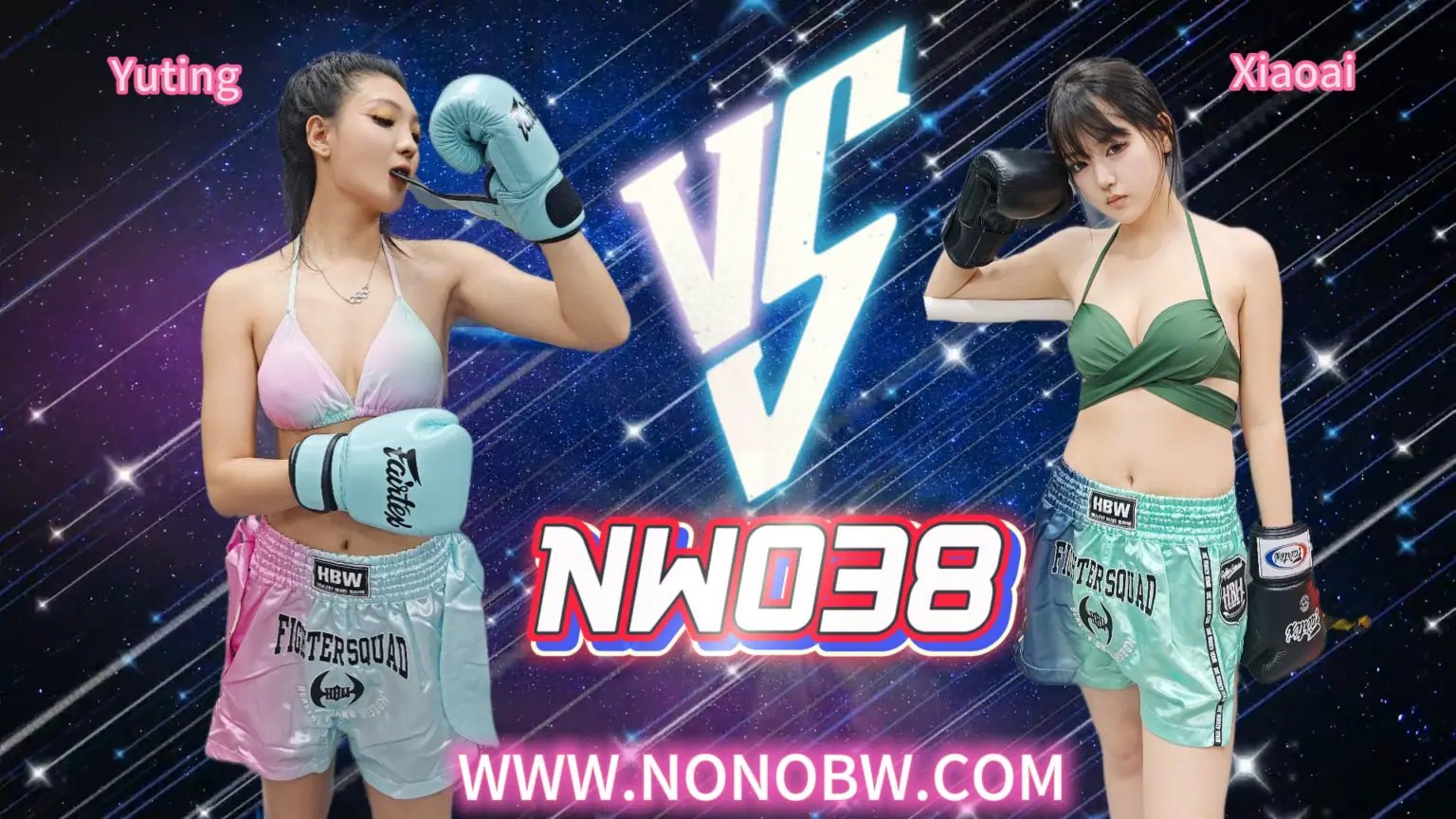 NW038-格斗艺术