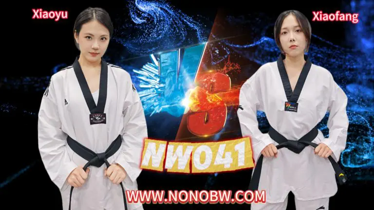 NW041-格斗艺术
