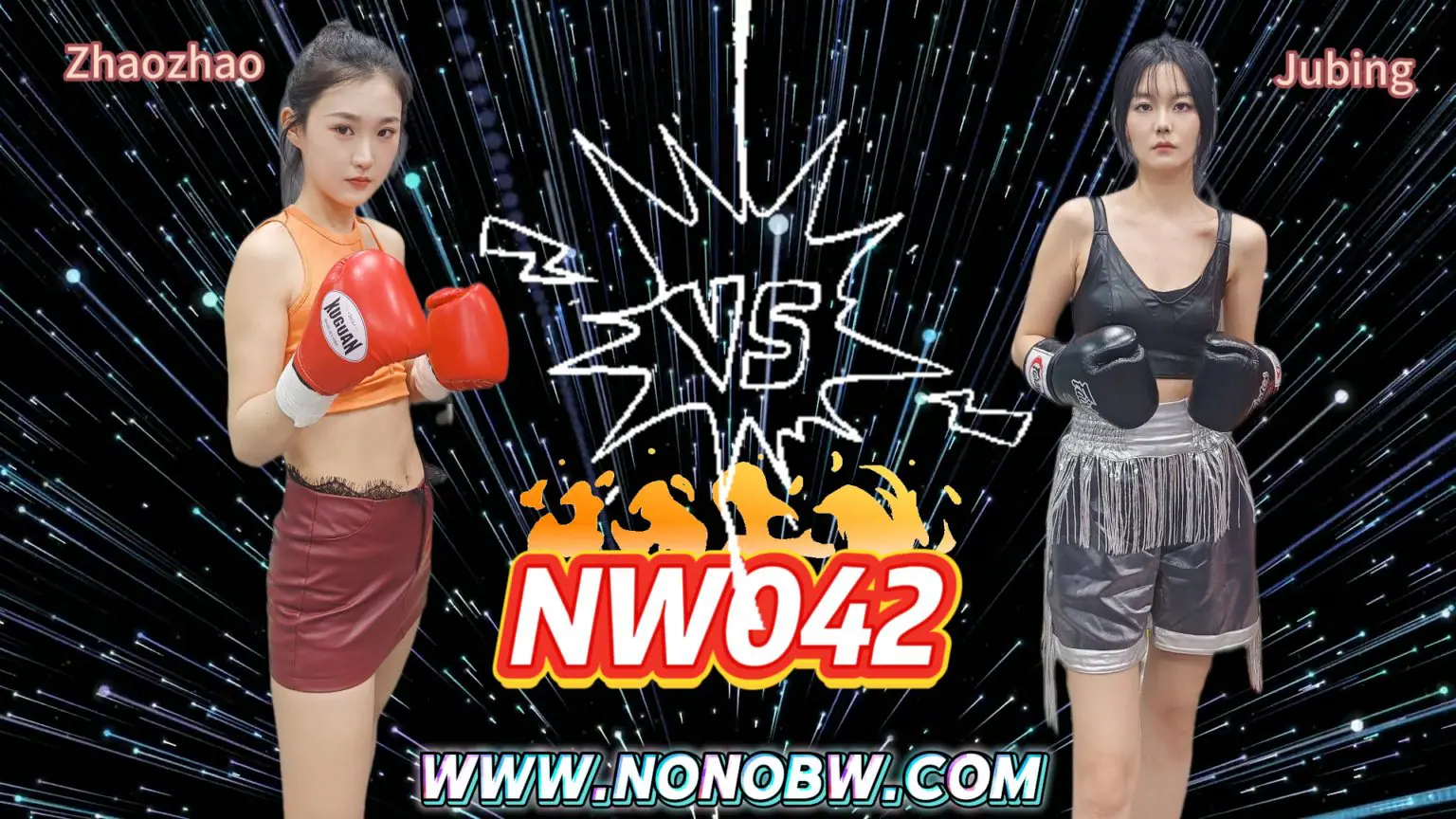 NW042-格斗艺术