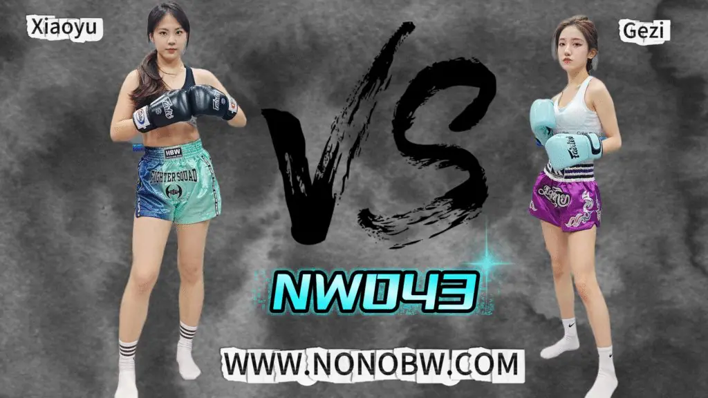 NW043-格斗艺术