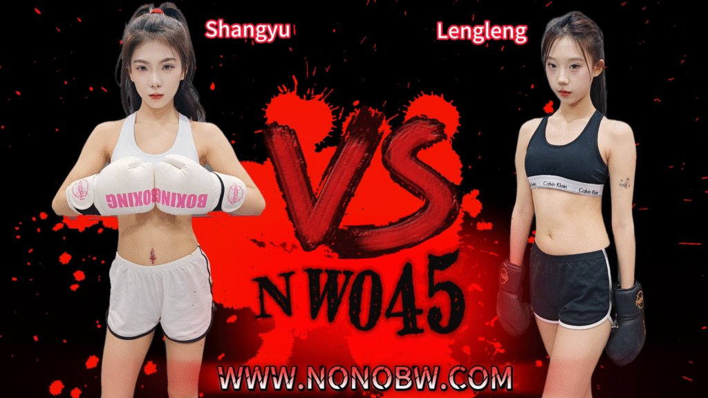 NW045-格斗艺术