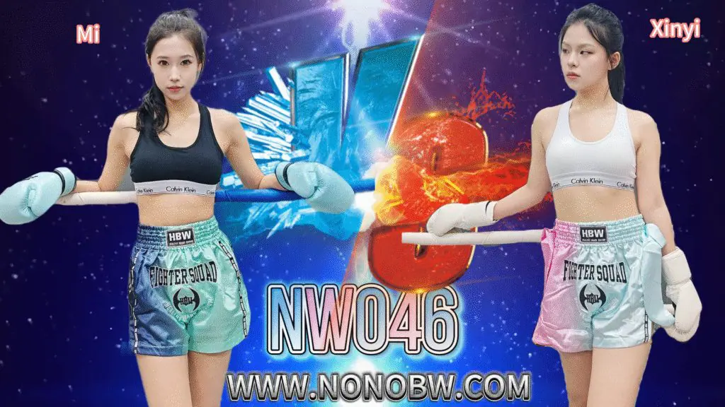 NW046-格斗艺术