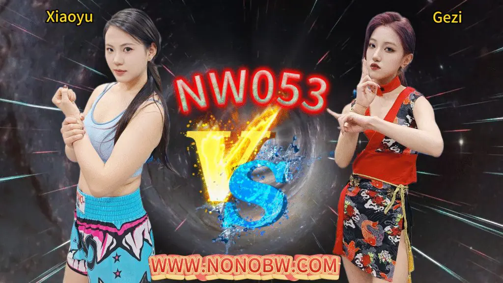 NW053-格斗艺术