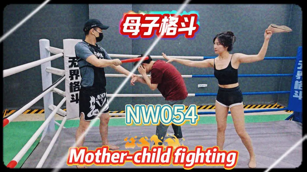 NW054-格斗艺术