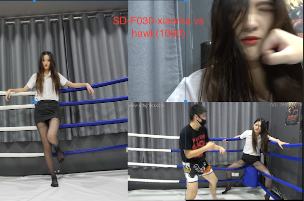 SD-F030 XIAOMA VS HAKW-格斗艺术