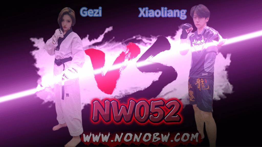 NW052-格斗艺术
