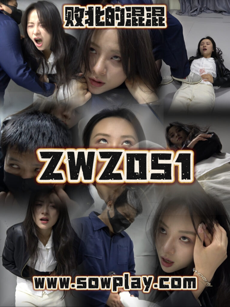Z051-格斗艺术