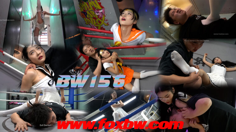 BW156-格斗艺术